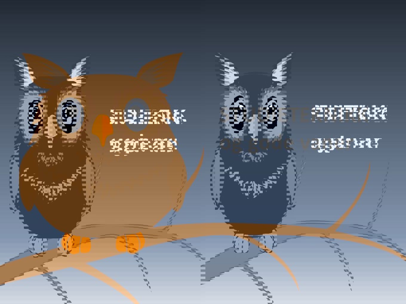 Studieteknikk Studieteknikk